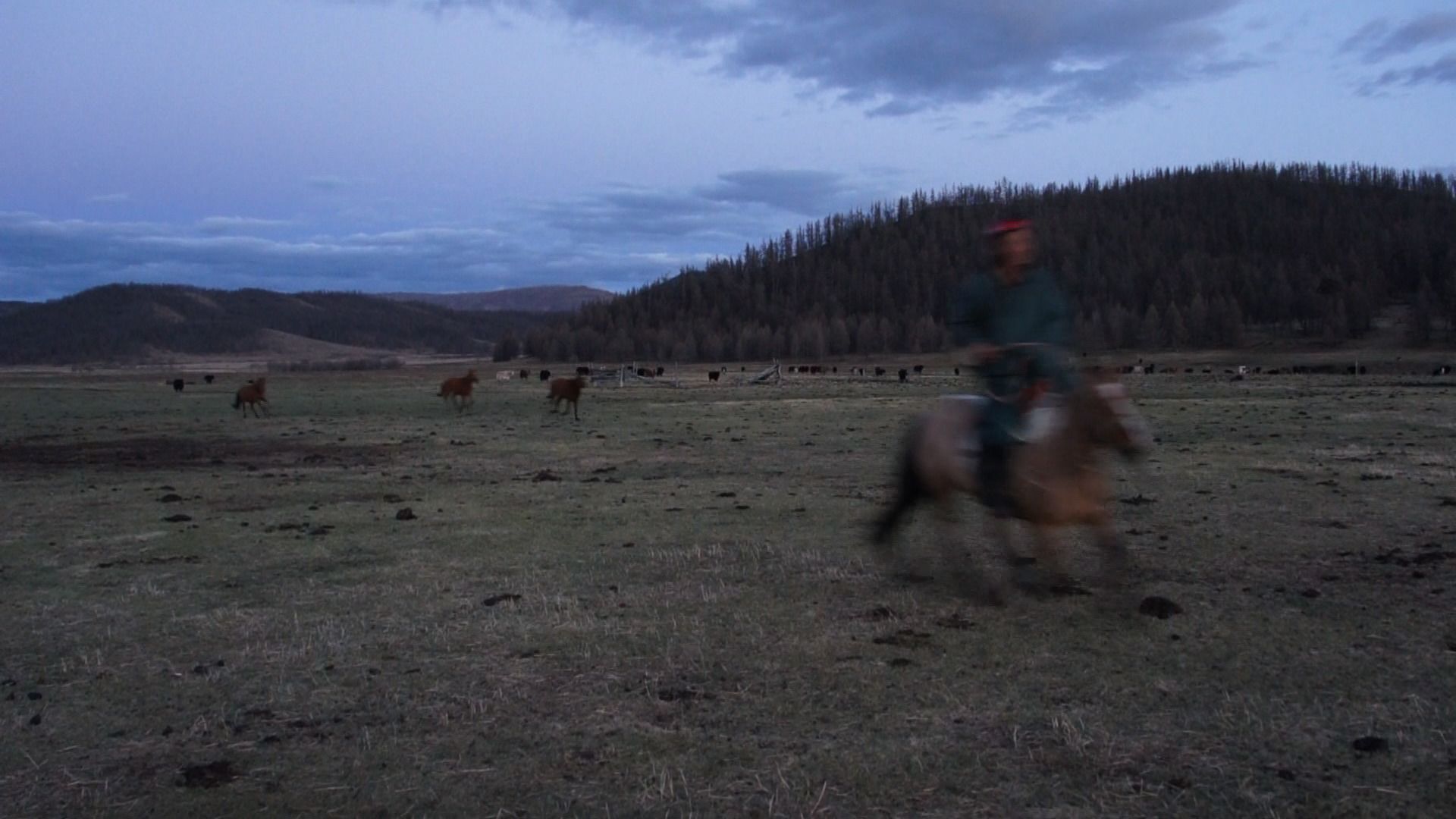 Mongolian plain with horseriders