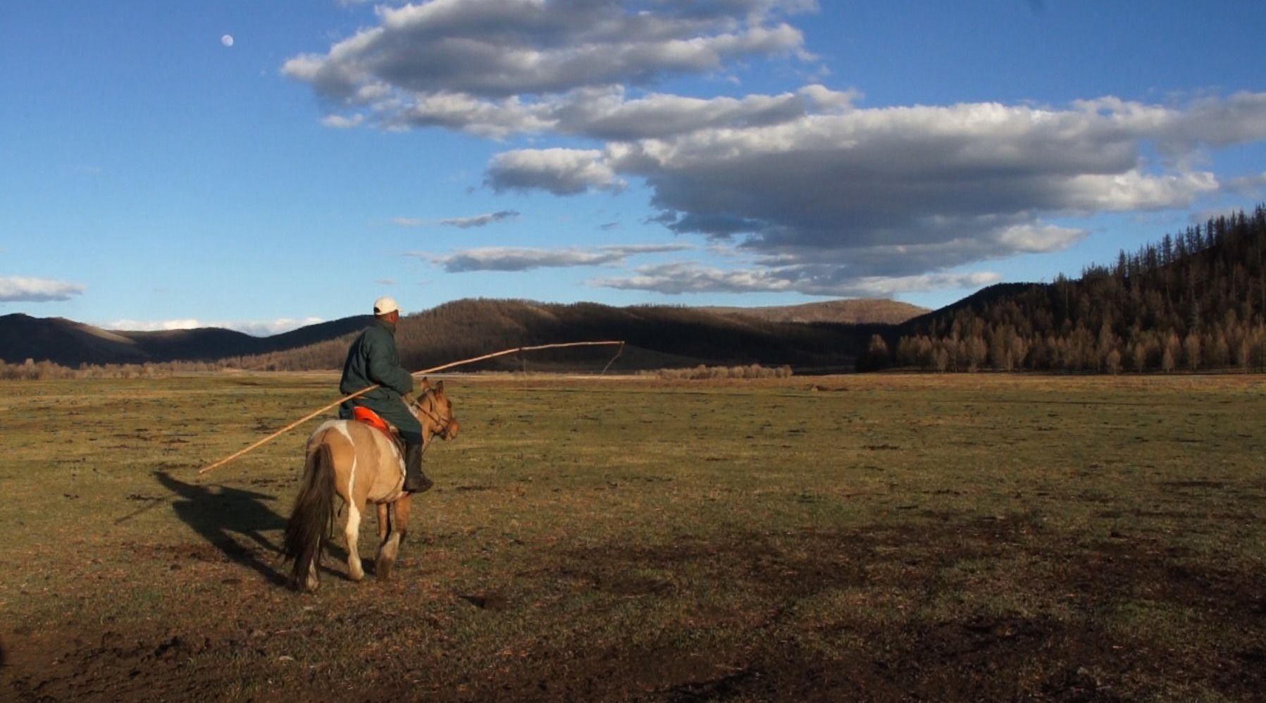 Herder riding horse