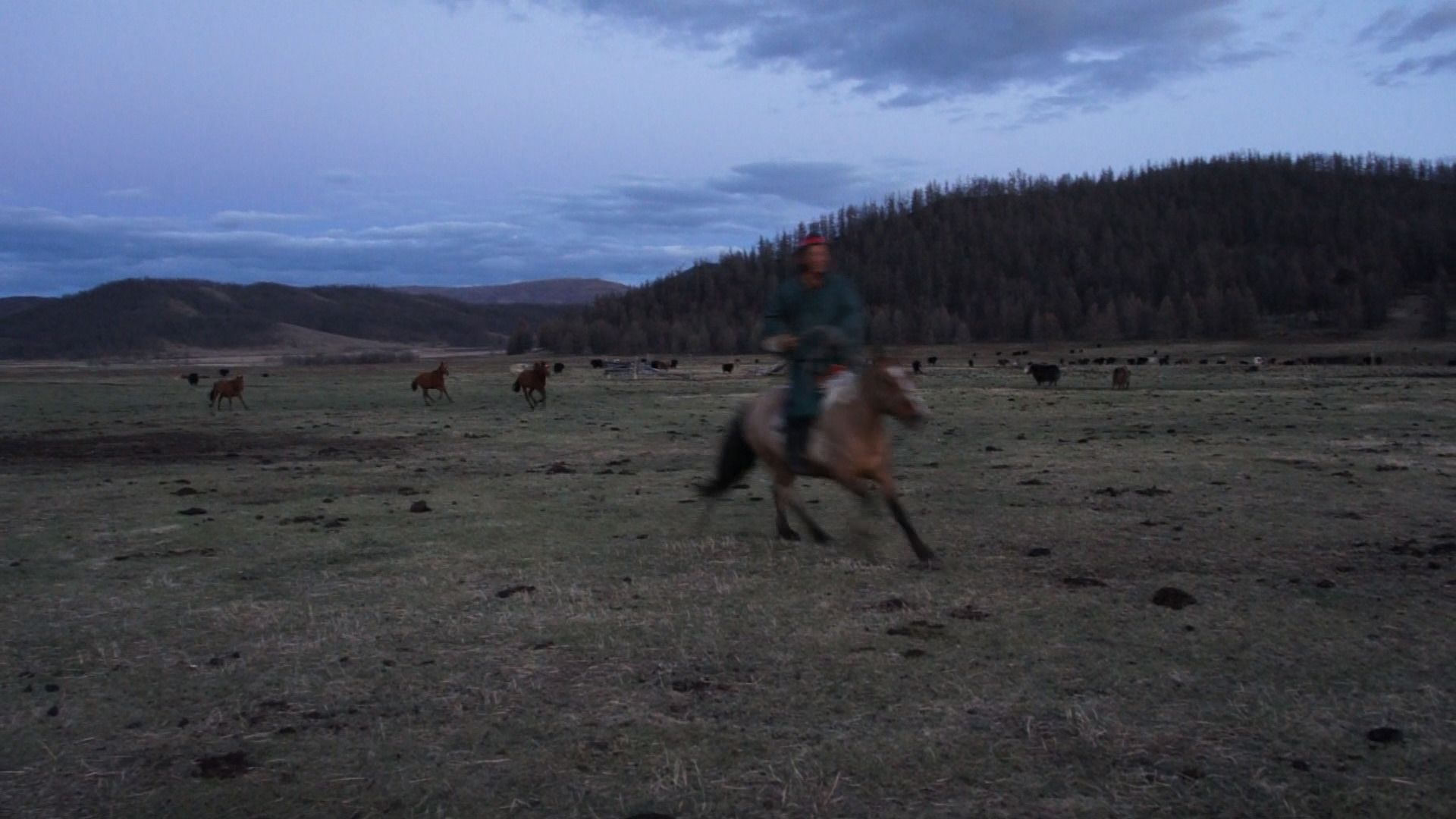 Mongolian plain with horseriders
