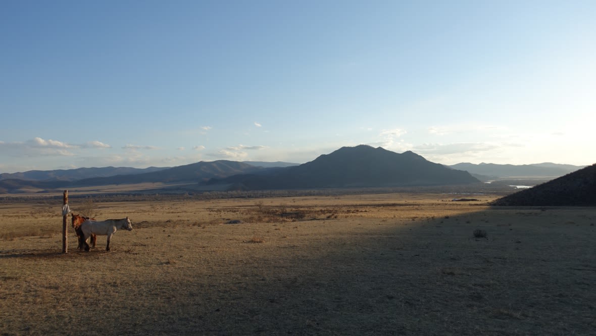 Broad Mongolian plain with horse in foreground