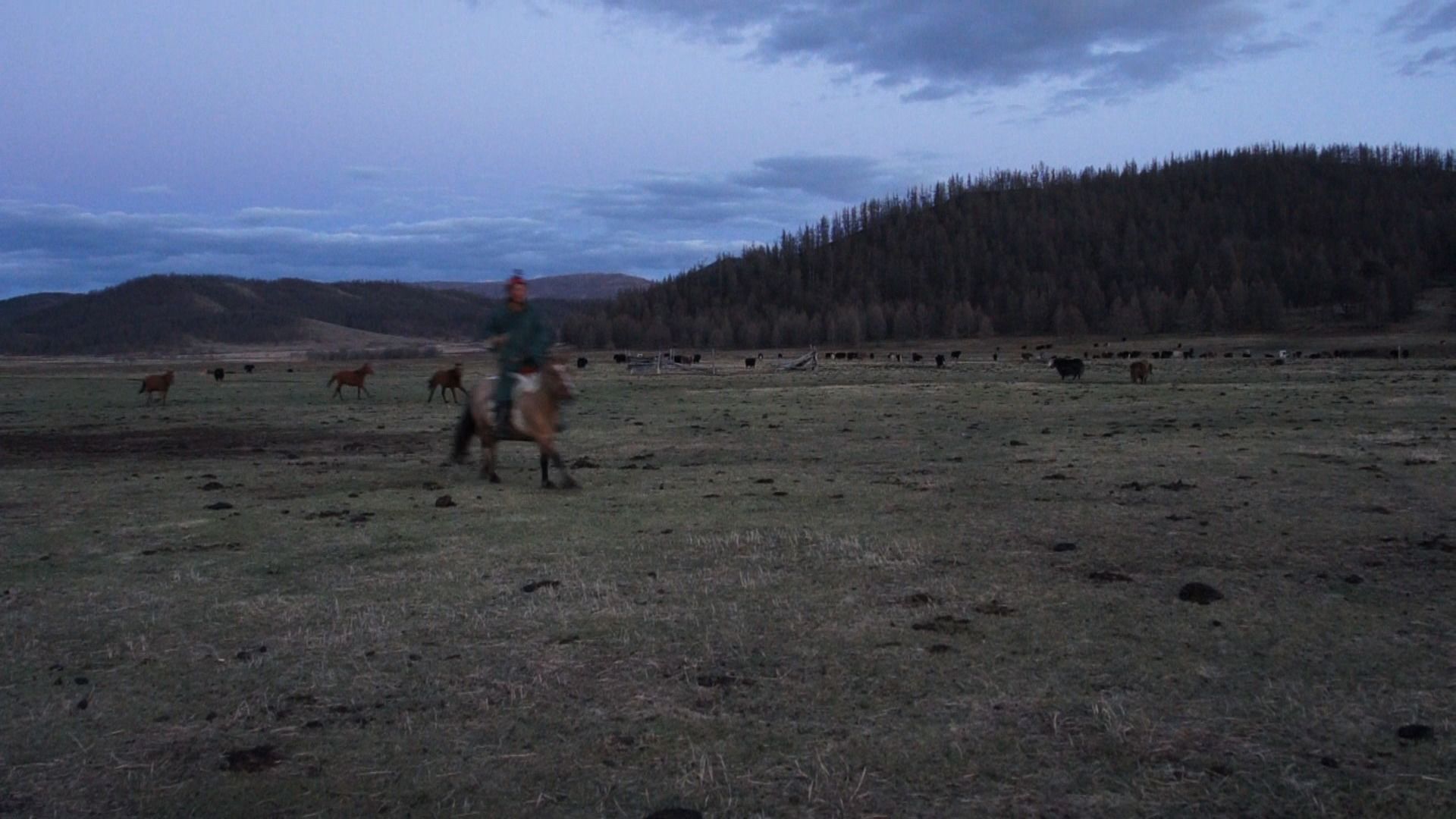 Mongolian plain with horseriders