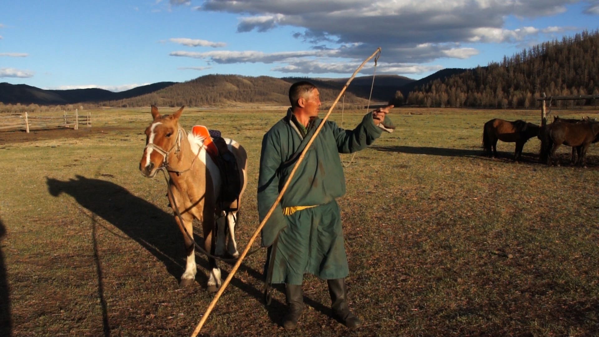 Herder with horse