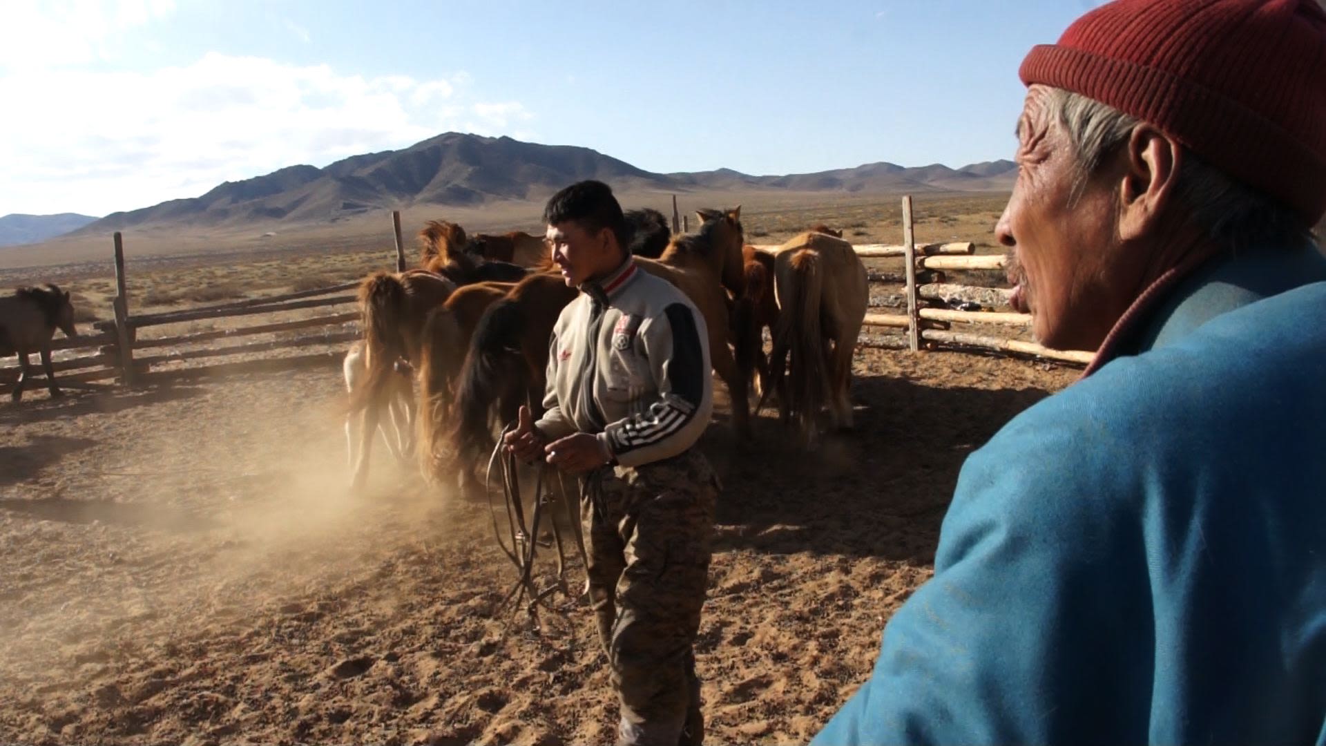 Older and younger herders with their horses