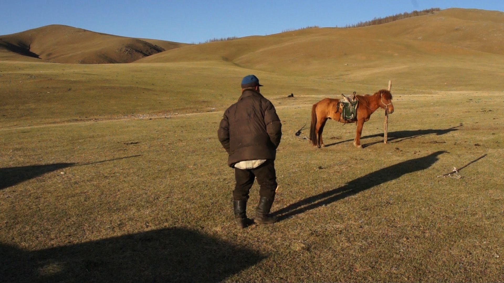 Mongolian herder with horse