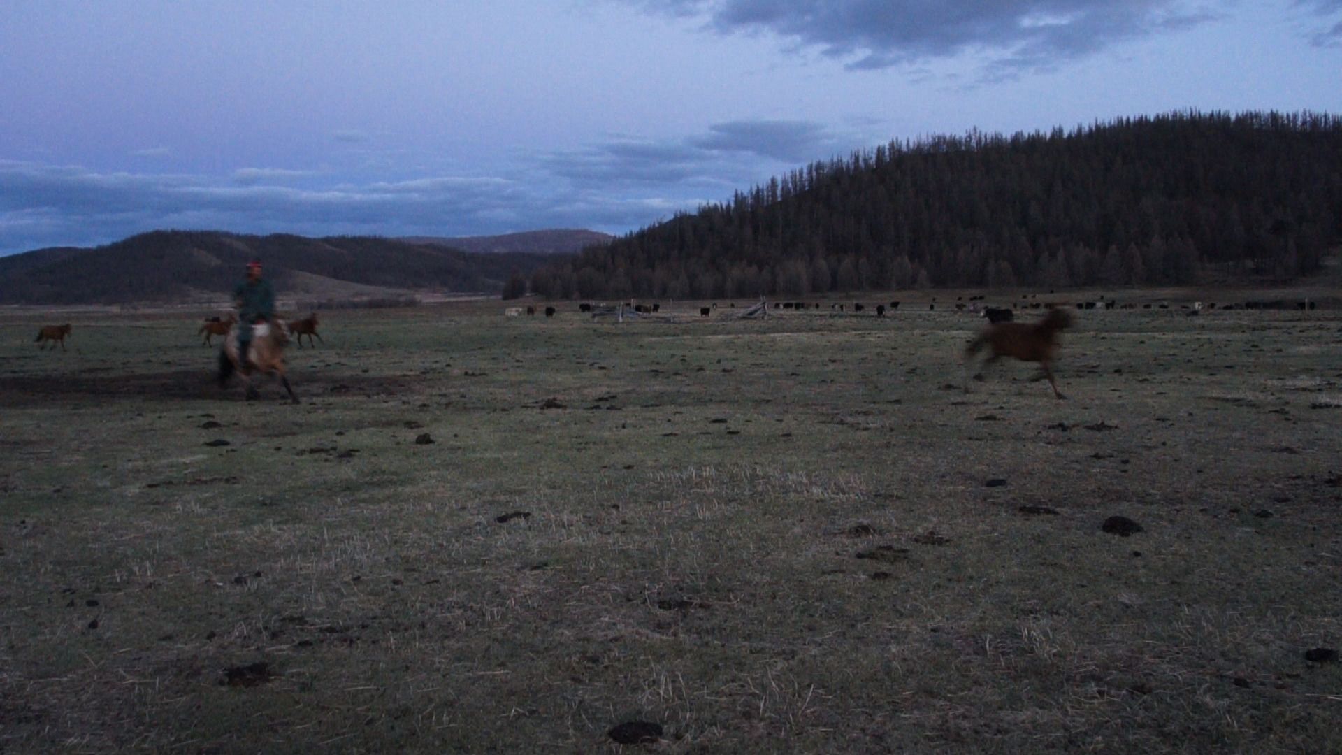 Mongolian plain with horseriders