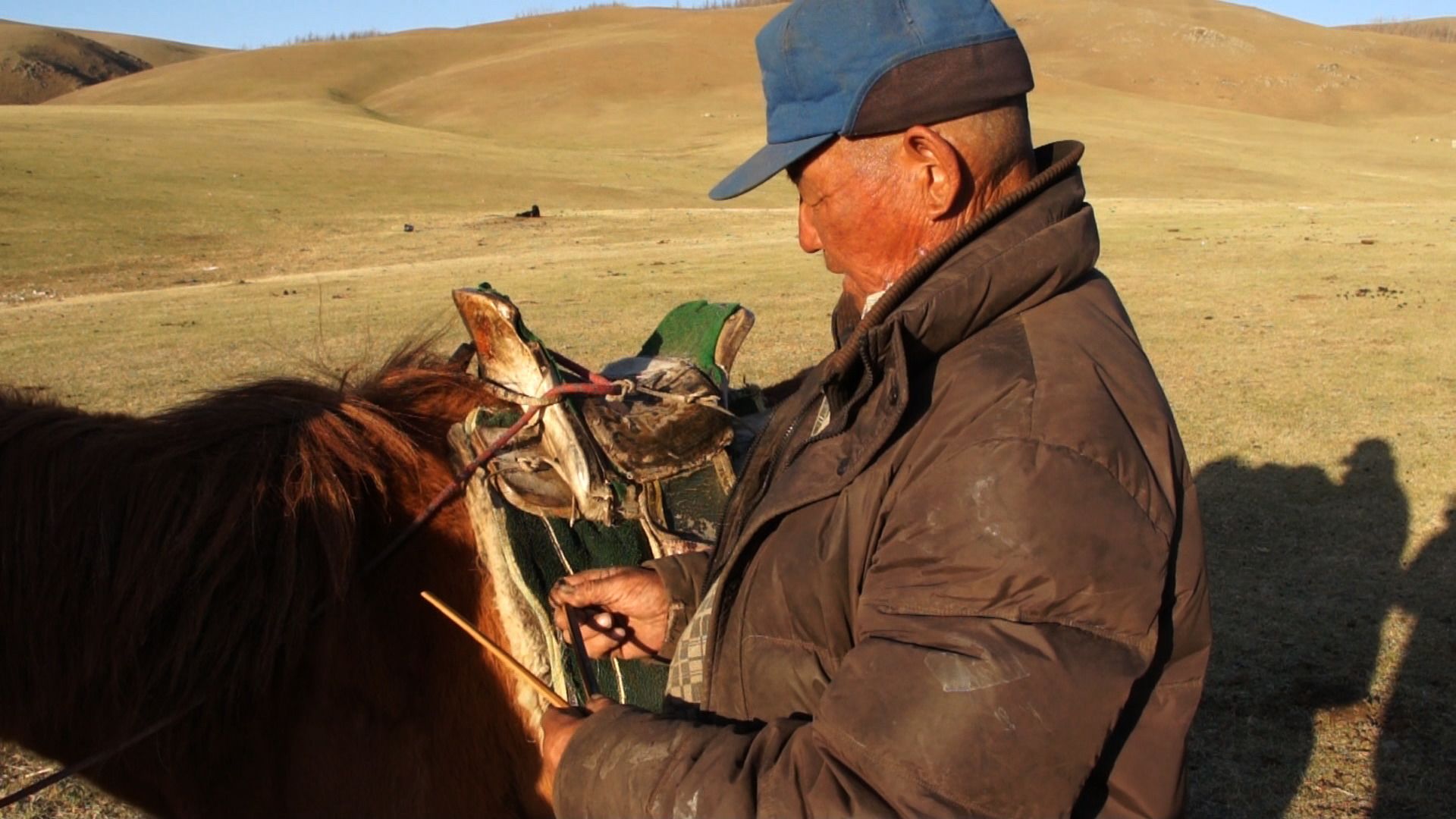Herder standing by horse, preparing to let blood