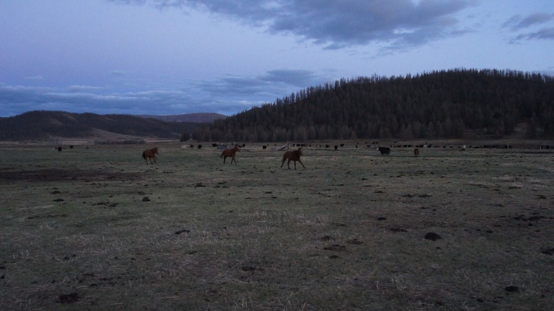 Mongolian plain with horseriders
