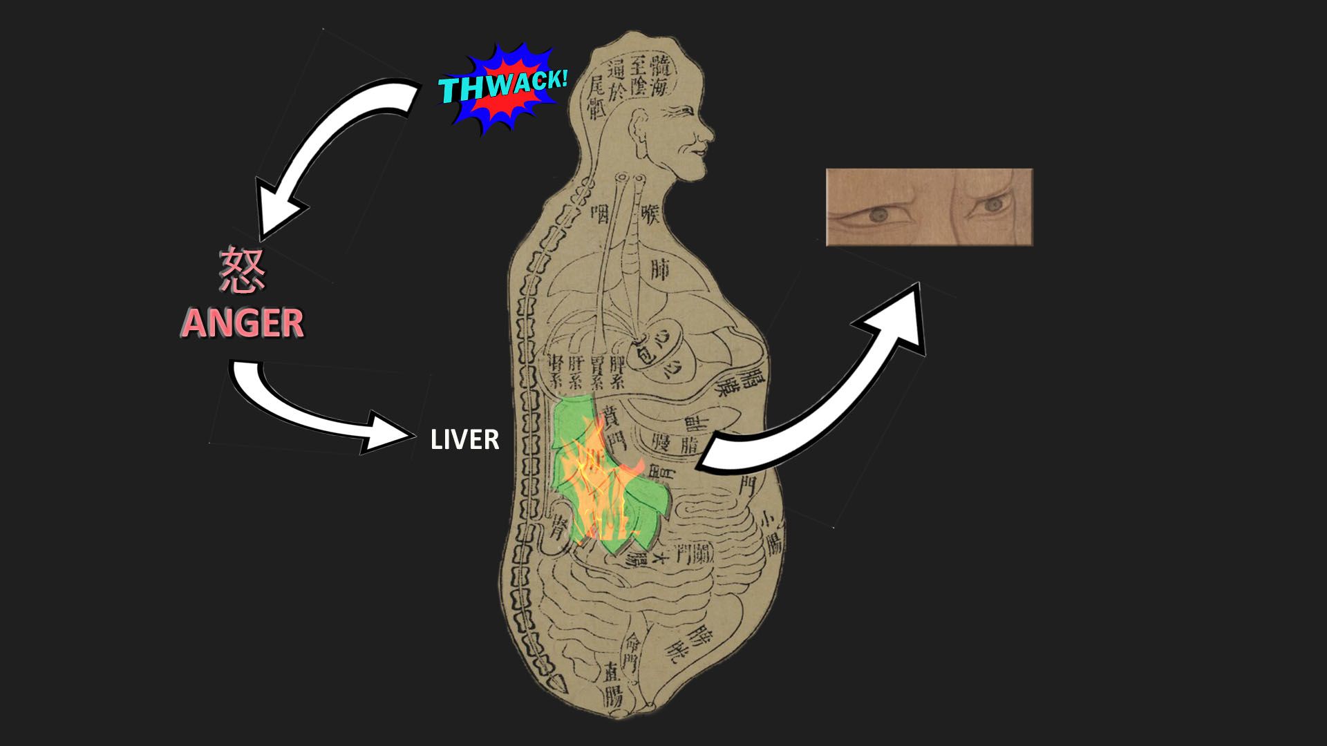 Picture showing connections betweem liver, anger, and sight