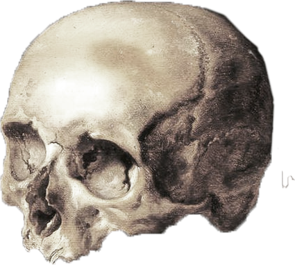 Painting of skull