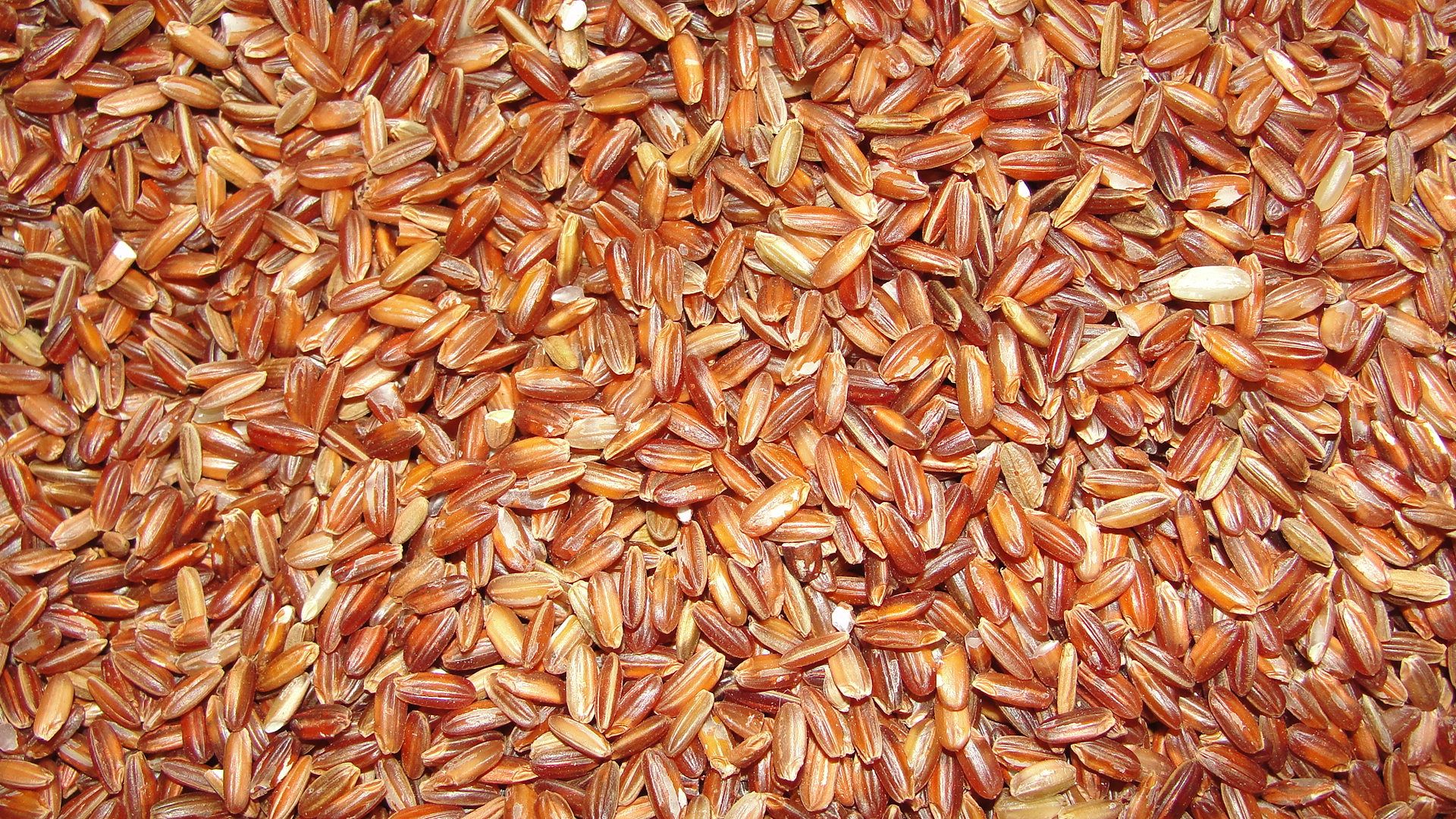 Background of large yellow grains