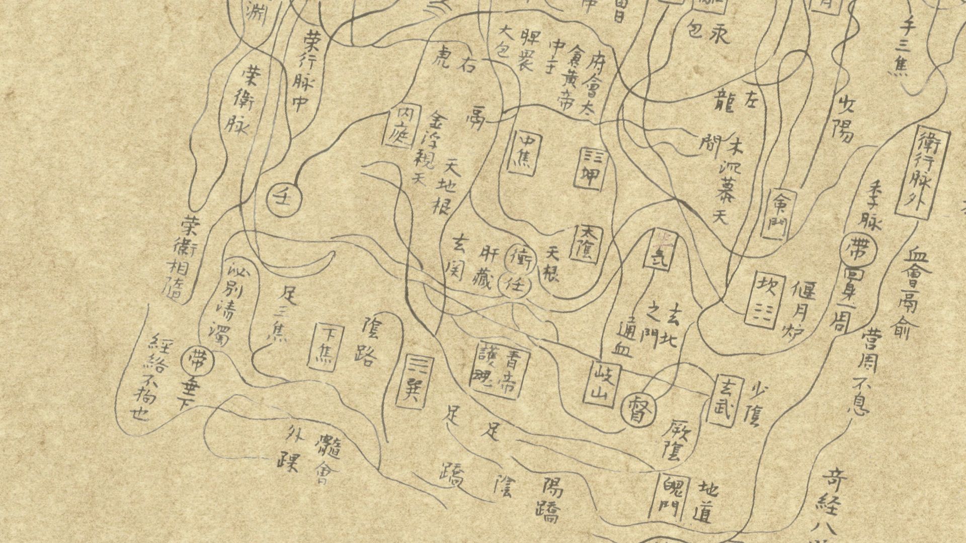 Chinese map of body with all sites and connections drawn in