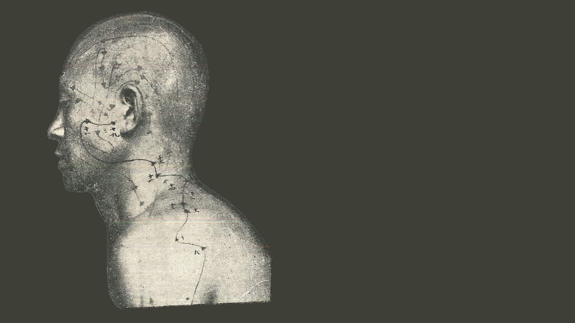 side of head with acupuncture points