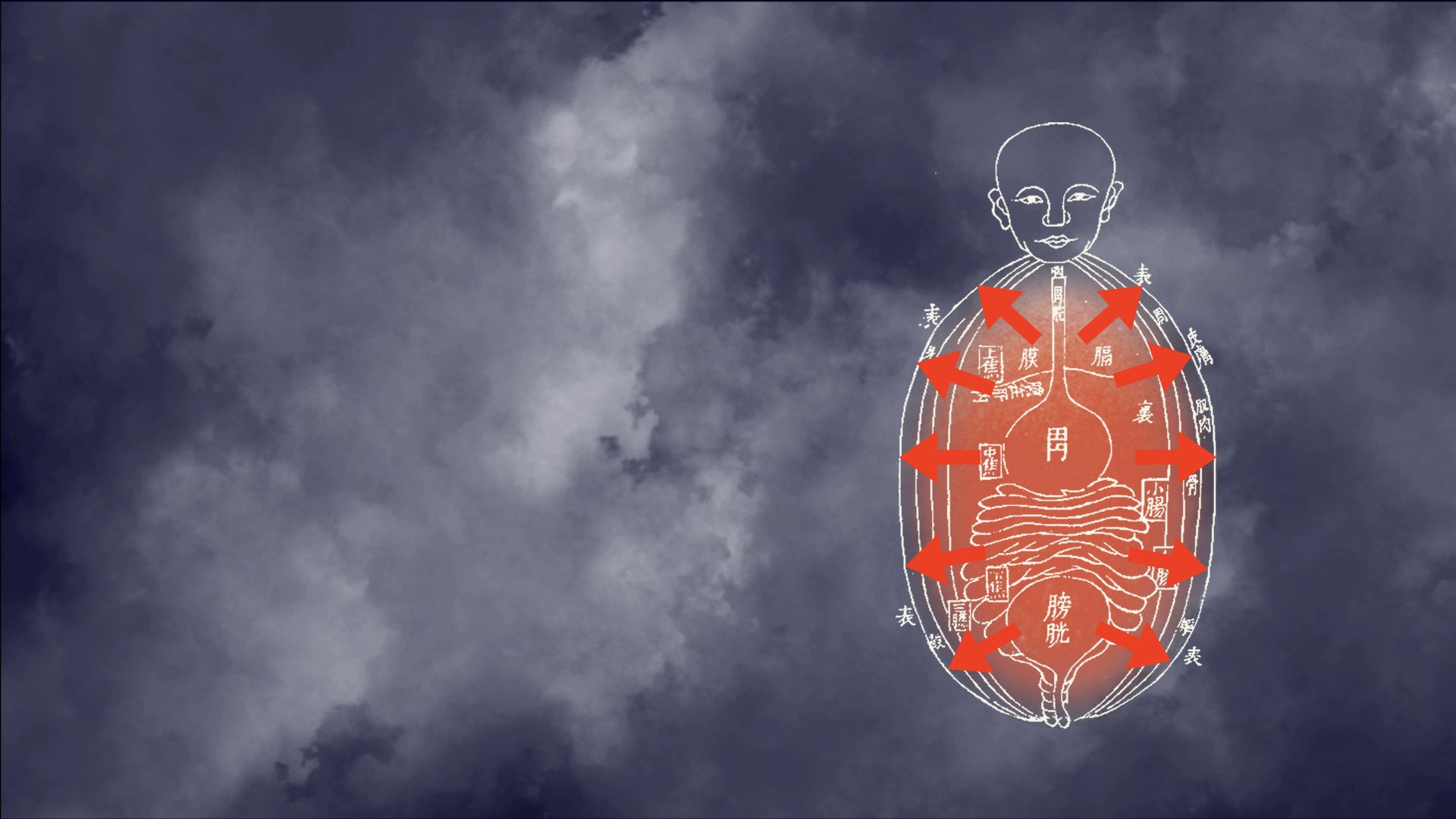 torso with arrows from the inside (to the outside)