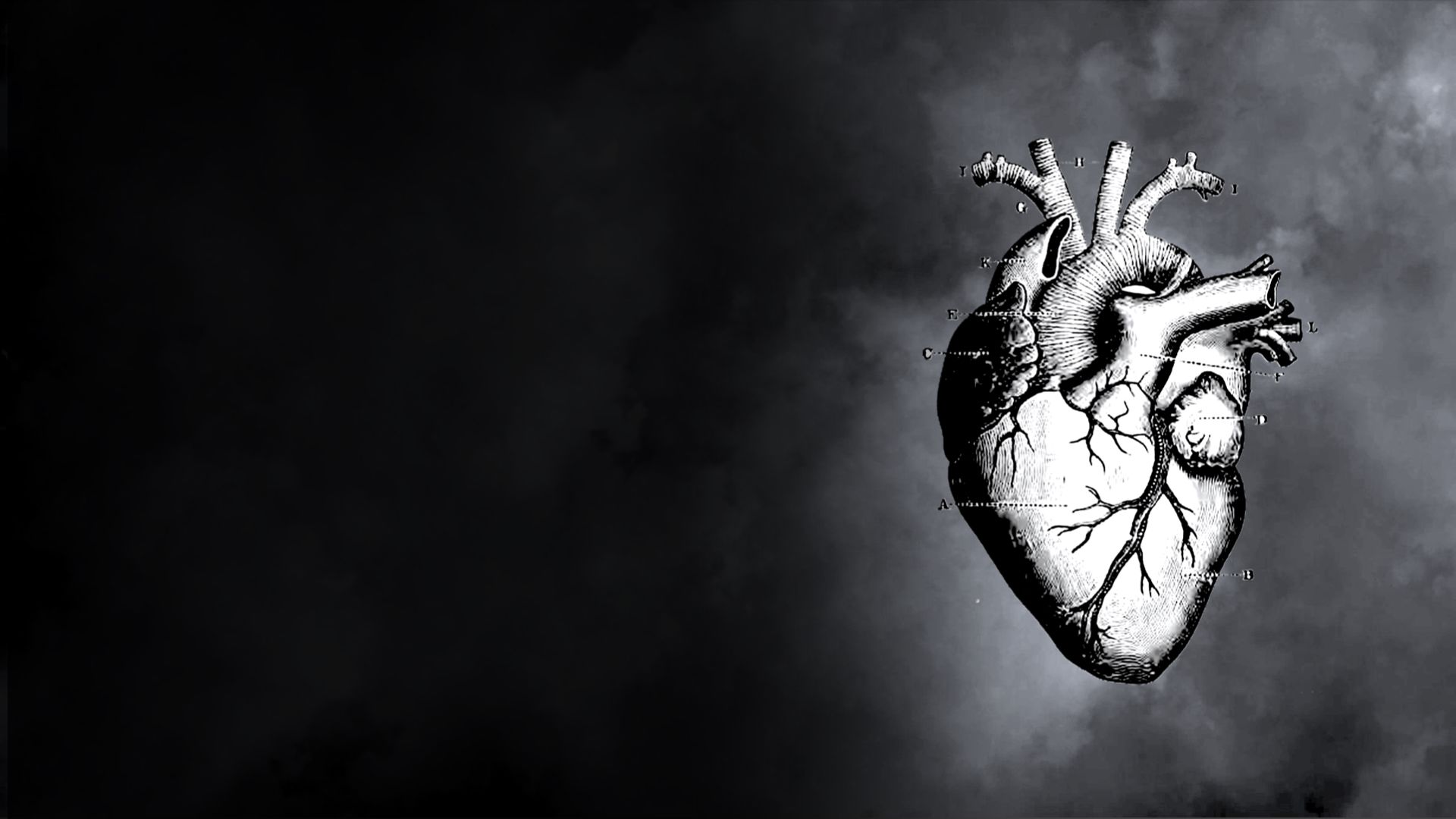 heart in back and white