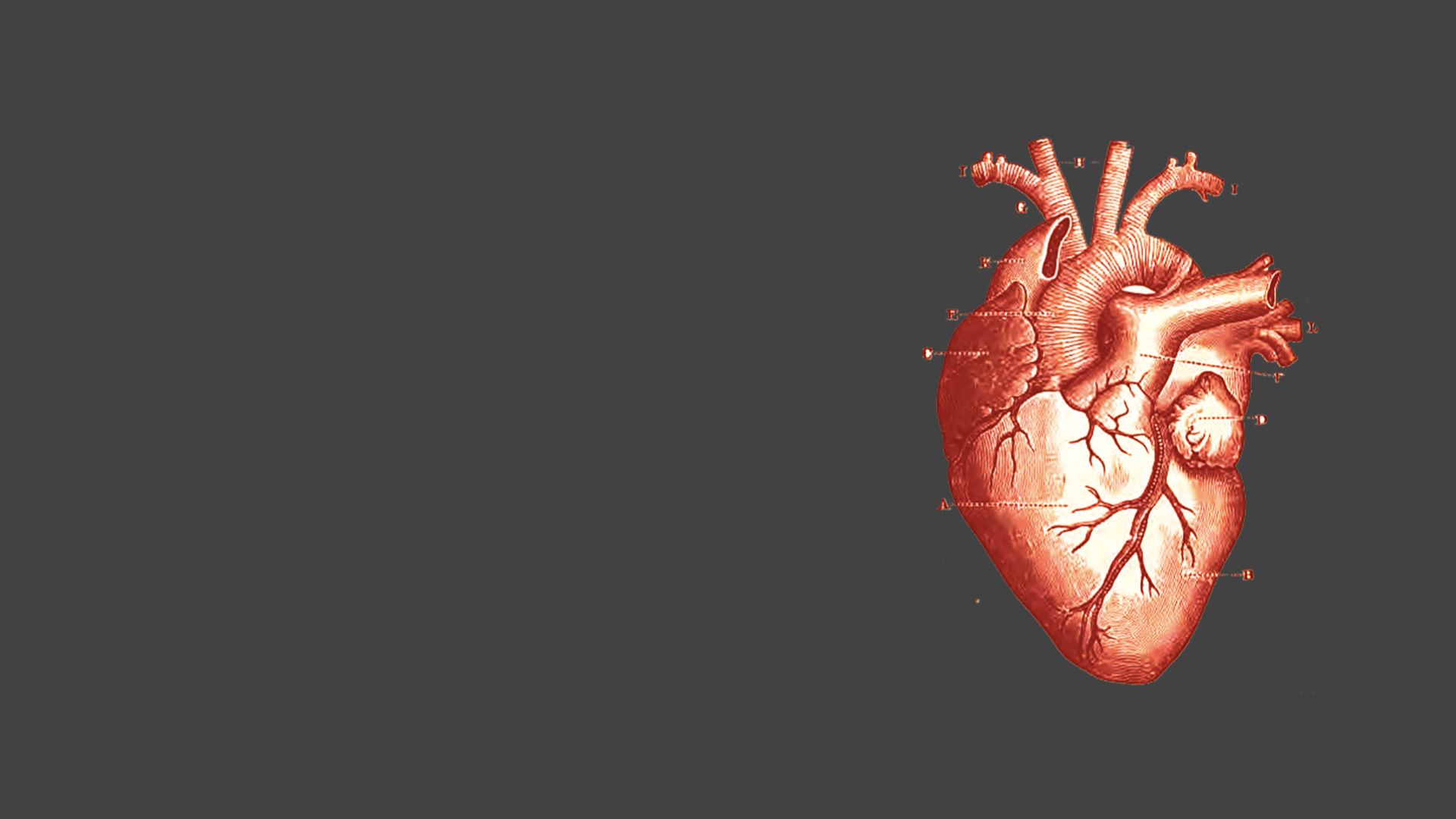 heart