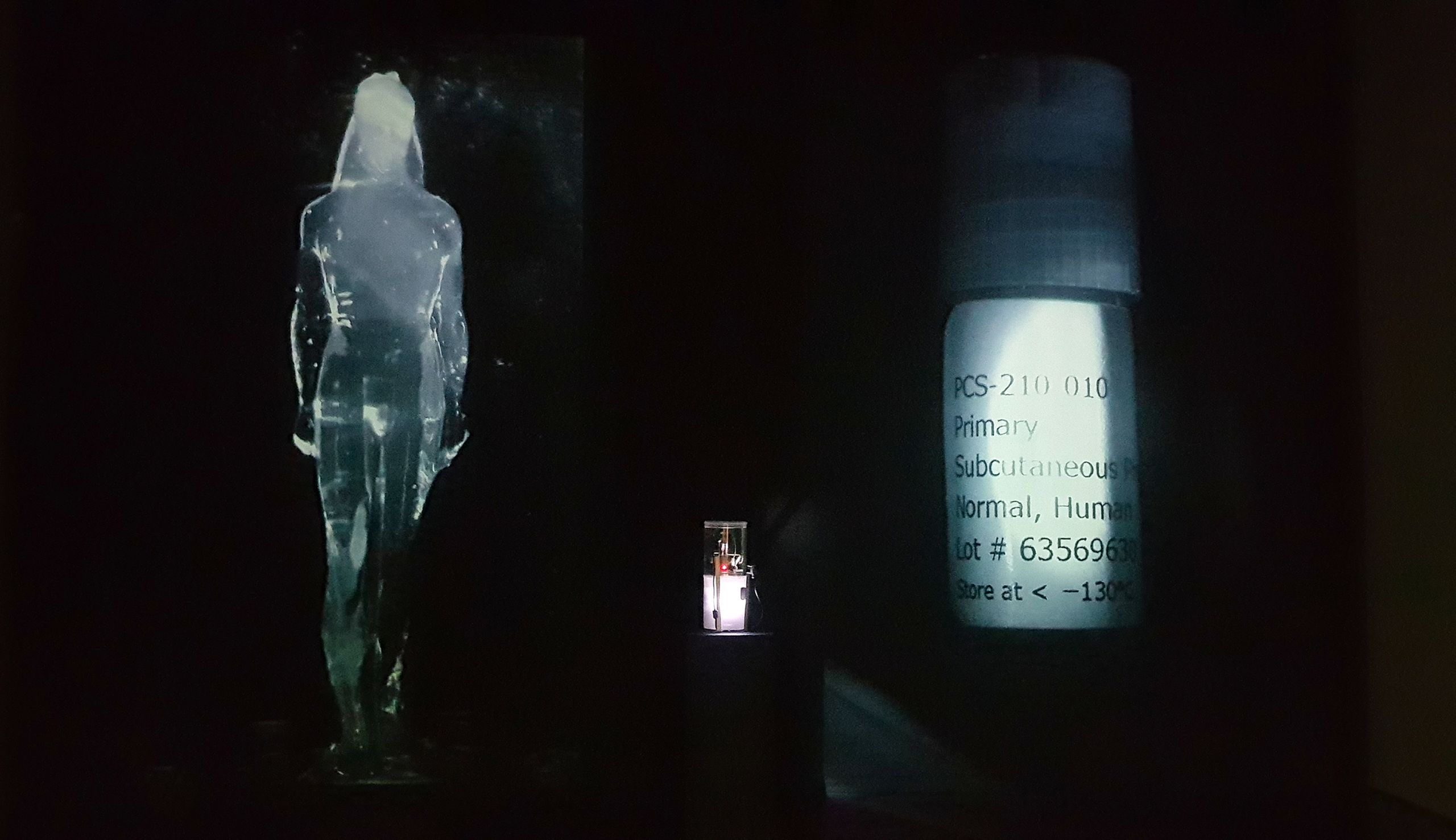 Figure 8. Nina Sellars. Sentinels (documentation of installation at the Perth Institute of Contemporary Arts, Australia), 2018. The installation comprises two 3.5-metre high real-time video projections: (lhs) the 'living' drip-fed kouros, (rhs) the original cell vial. The plinth-mounted incubator, in which both objects are contained, is located centrally, approximately 800mm out from the wall. Nina Sellars © 2018.