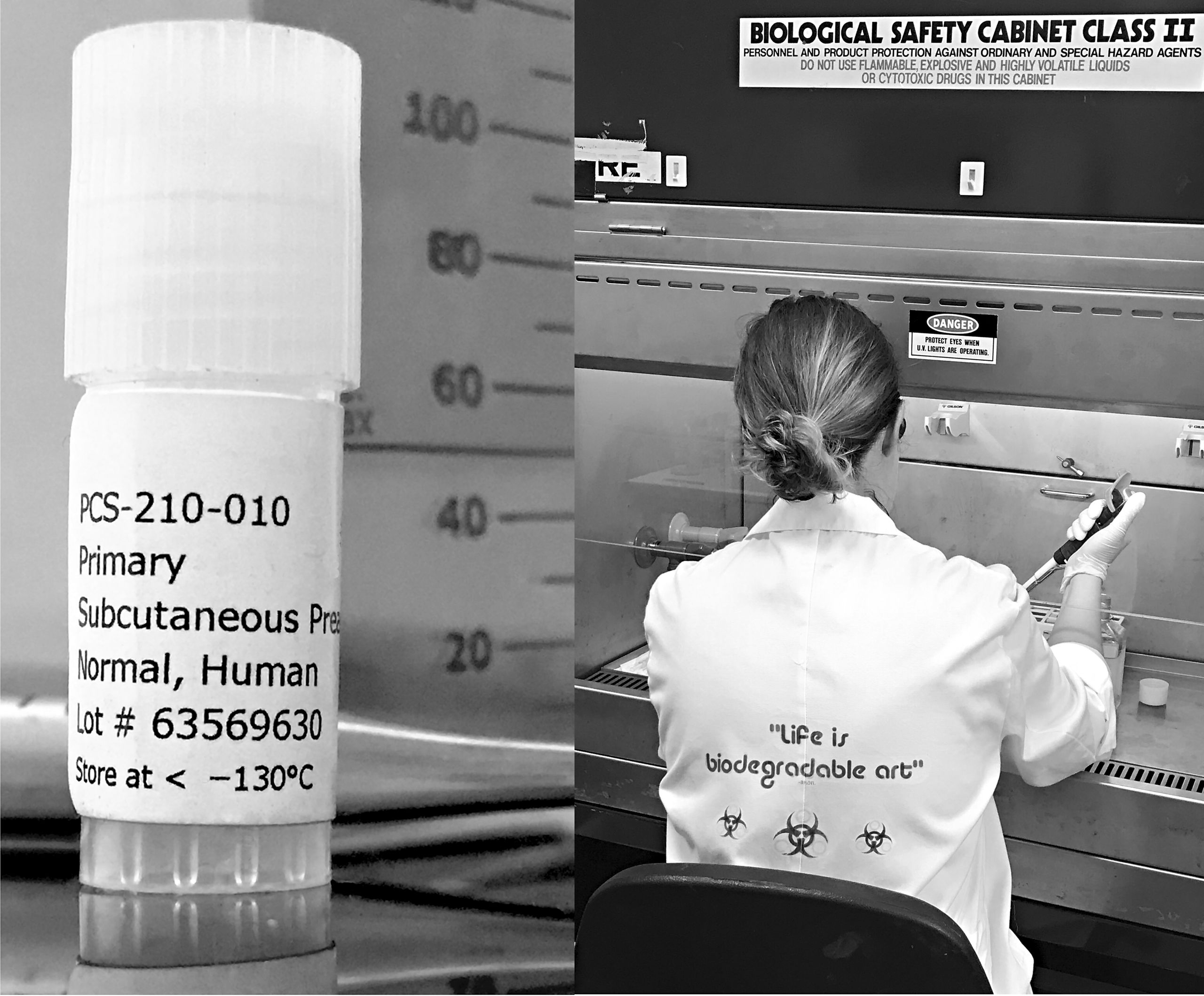 Nina Sellars working on adipose tissue culture for her project, ‘Fat Culture’, while artist in residence at SymbioticA, UWA, 2017. Photographers by Nina Sellars and Ionat Zurr. This project has been assisted by the Australian Government through the Australia Council, its arts funding and advisory body.