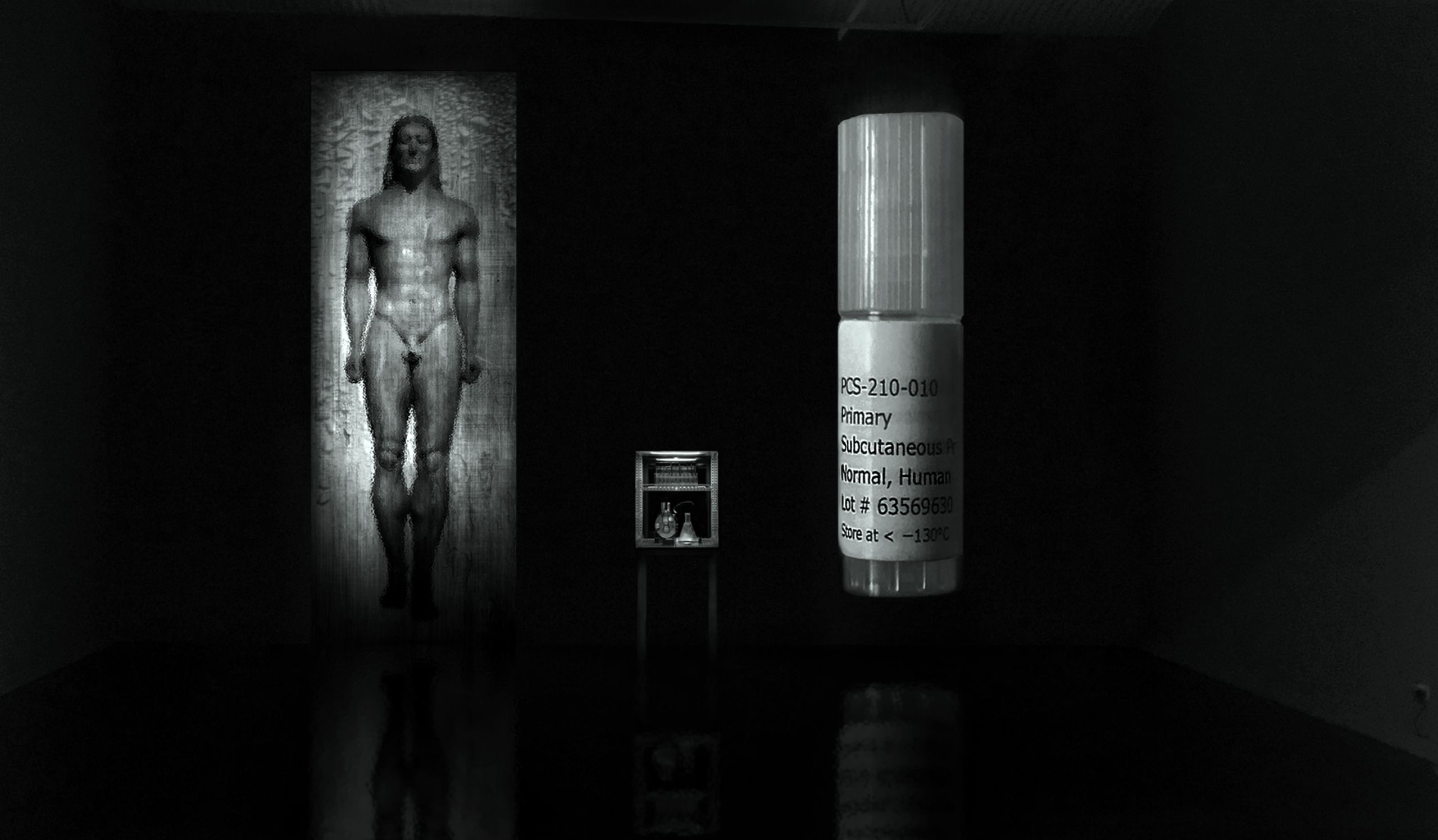 Figure 6. Nina Sellars. Sentinels (visualization of biological / new media art installation – made prior to construction), 2017-2018. The Sentinels gallery installation design incorporates a custom-built bioreactor and incubator, to nurture tissue-cultured human preadipocyte (fat) cells (living, and growing, in a hydrogel kouros) – real-time video projections, positioned either side of the incubator, to display key elements contained within. Nina Sellars © 2018.